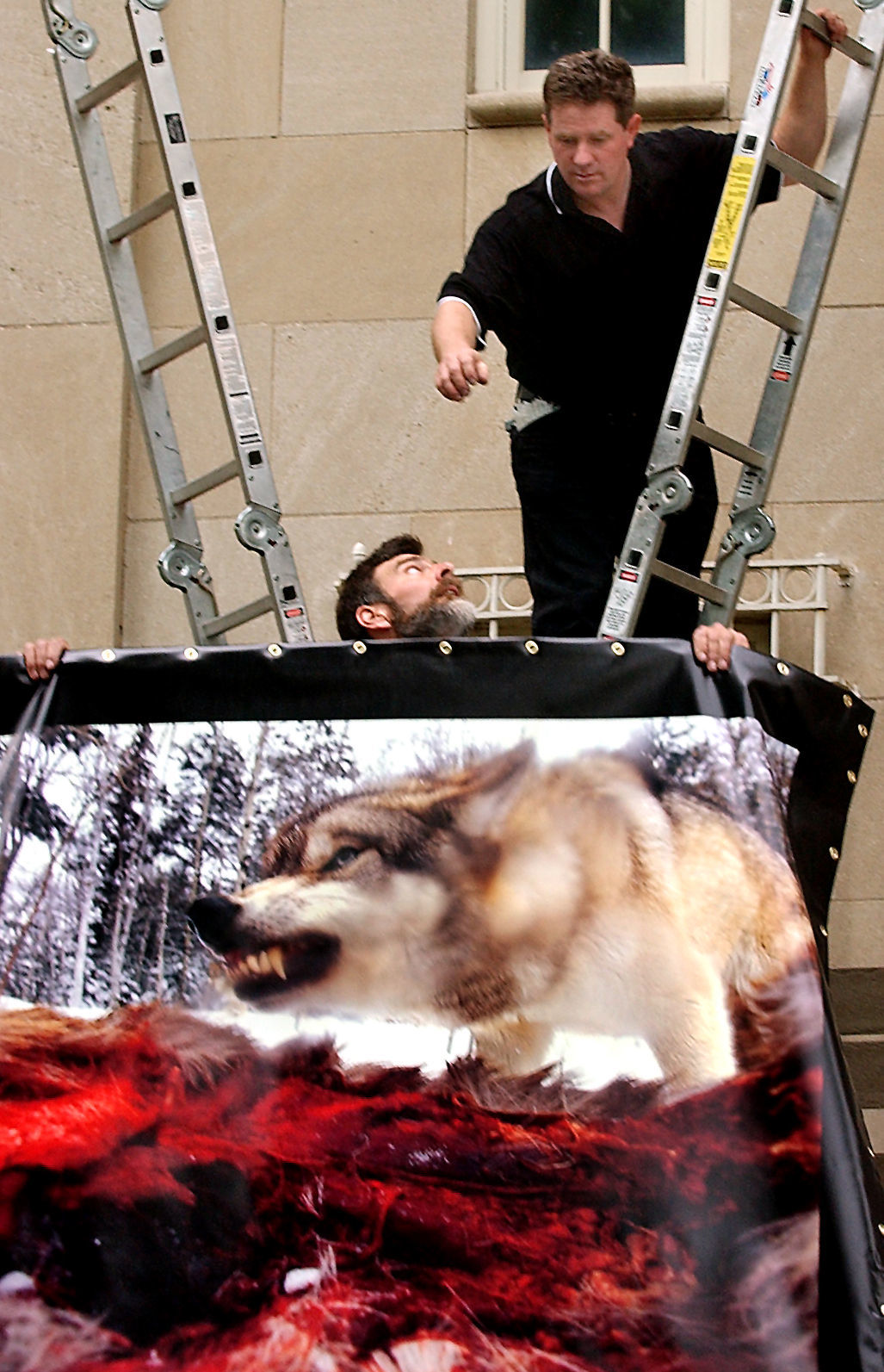 Morrill Hall banners